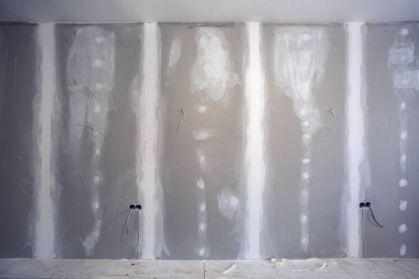 Best Mold Removal for HVAC Installations  in Hamlin, TX